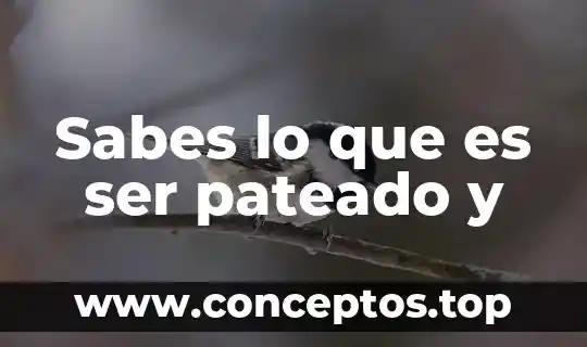 Sabes que es una monografia 3 Sabes lo que es ser pateado y