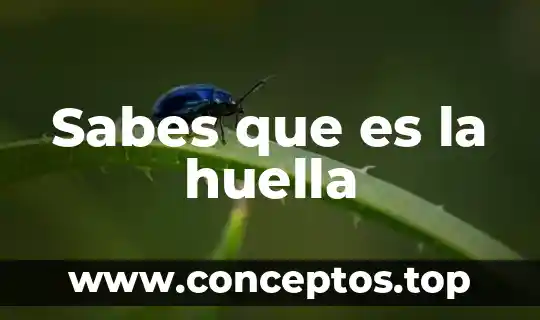 Que es huella ecologica articulos 3 Sabes que es la huella