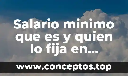 Salario minimo que es y quien lo fija en mexico