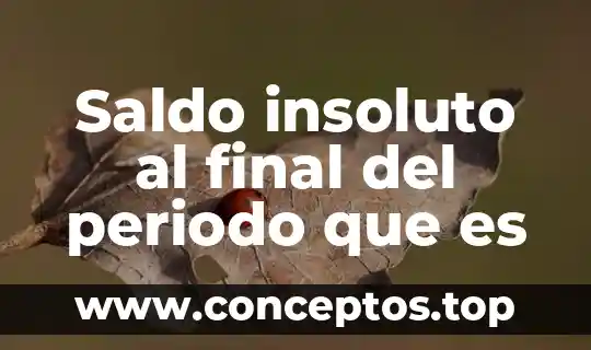 Saldo insoluto al final del periodo que es