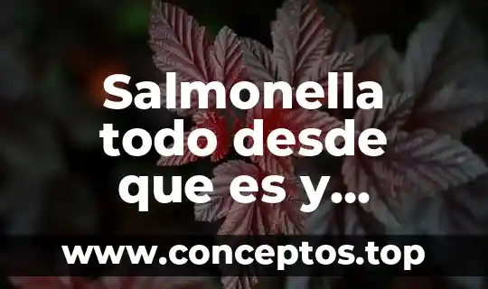 Salmonella todo desde que es y cuantos tipos hay