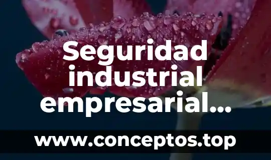 Seguridad industrial empresarial que es