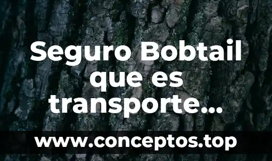 Seguro Bobtail que es transporte terrestre