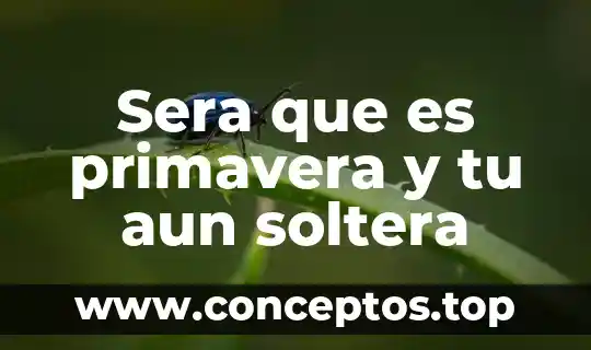 Que es medio gegnian y cual es tu tarea 5 Sera que es primavera y tu aun soltera