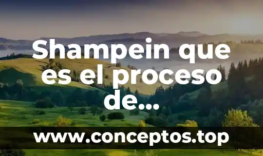 Que es regeneracion osea en odontologia articulos 6 Shampein que es el proceso de regeneracion administrativa