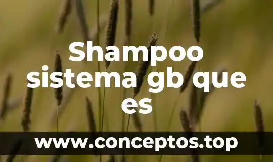 Shampoo sistema gb que es