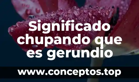Que es el significado de impresora 3 Significado chupando que es gerundio