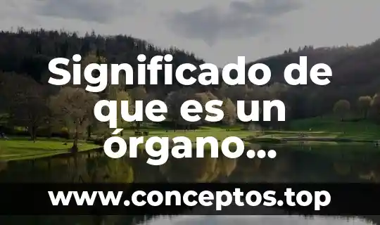 Que es organo desconcentrado 7 Significado de que es un órgano humano