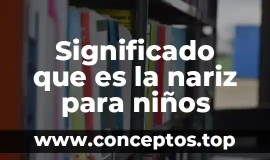 Que es el significado del nombre de carmen 4 Significado que es la nariz para niños