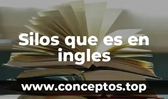 Silos que es en ingles