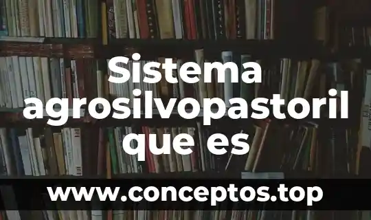 Que es el sistema digestivo del ser humano 4 Sistema agrosilvopastoril que es