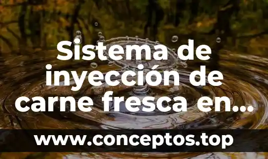 Que es carne molida en ingles 6 Sistema de inyección de carne fresca en piensos que es