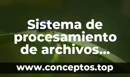 Que es el sistema de la luna 3 Sistema de procesamiento de archivos que es