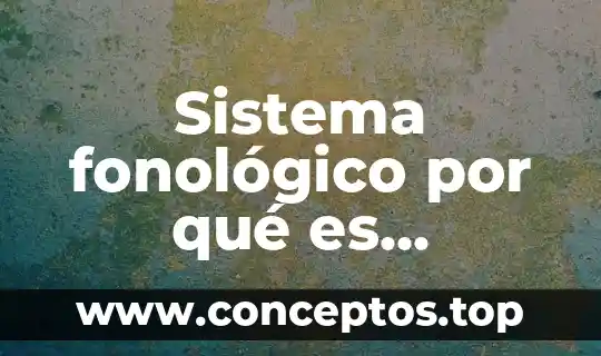Sistema fonológico por qué es importante