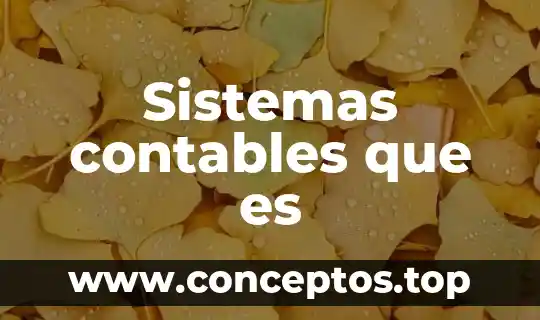 Sistemas contables que es