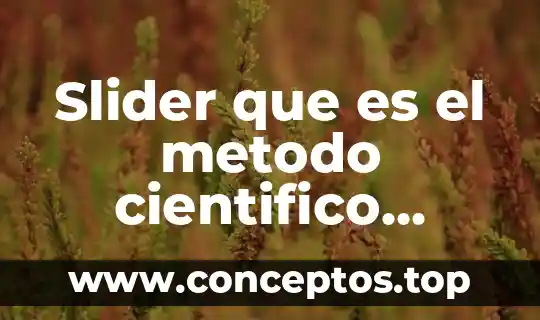 Qué es un loro y cuáles su nombre científico 7 Slider que es el metodo cientifico definicion copleta