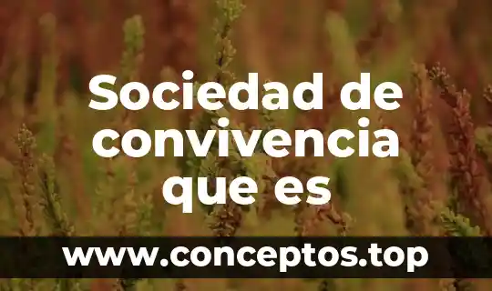 Que es justicia como base para la convivencia 5 Sociedad de convivencia que es