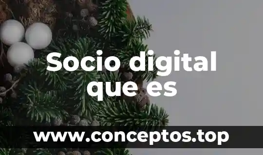Que es una representación digital 5 Socio digital que es