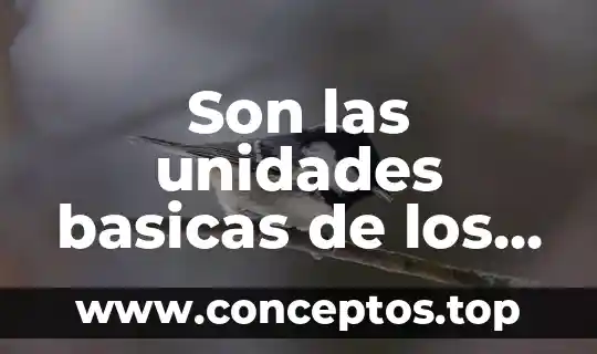 Que es una balanza comercial y cuales son sus tipos 7 Son las unidades basicas de los elementos que es biologia