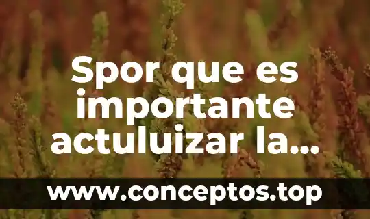 Spor que es importante actuluizar la fecha