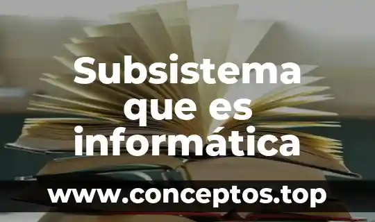 Subsistema que es informática