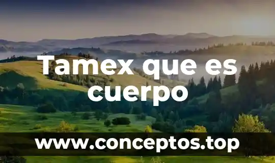 Que es el cuerpo celular 4 Tamex que es cuerpo