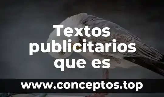 Textos publicitarios que es