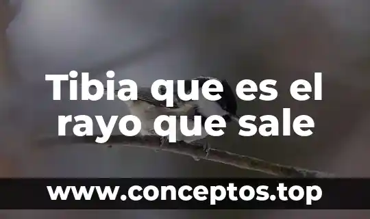 Tibia que es el rayo que sale