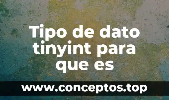 Tipo de dato tinyint para que es