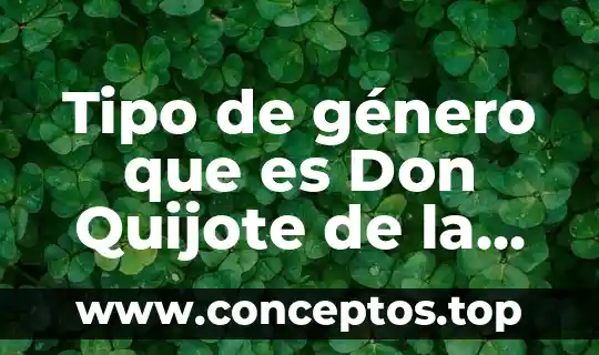 Que es ser un quijote 5 Tipo de género que es Don Quijote de la Mancha