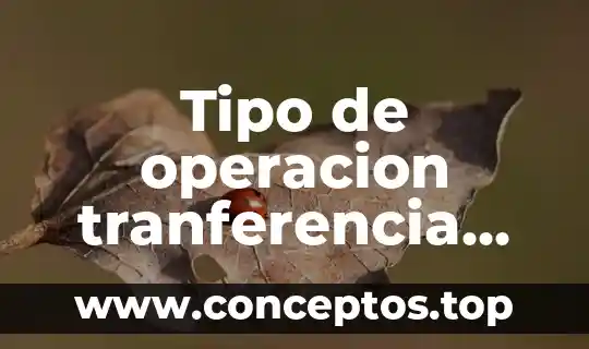 Tipo de operacion tranferencia unica que es