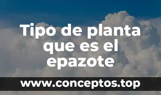 Tipo de planta que es el epazote