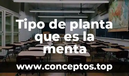 Que es el calculo menta 3 Tipo de planta que es la menta