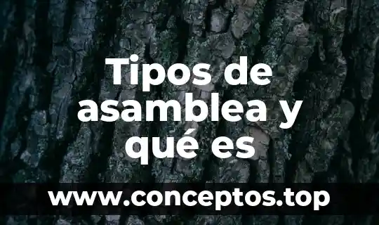Tipos de asamblea y qué es