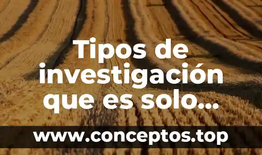 Tipos de investigación que es solo buscar información en internet