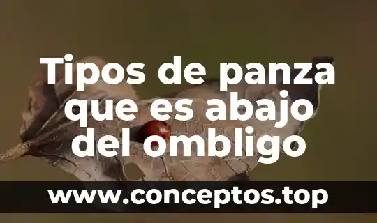 Tipos de panza que es abajo del ombligo