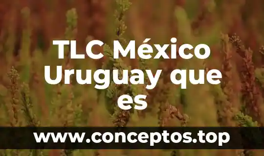 Que es la bandera de mexico para niños 6 TLC México Uruguay que es