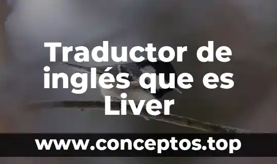 Traductor de inglés que es Liver