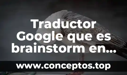Traductor Google que es brainstorm en inglés