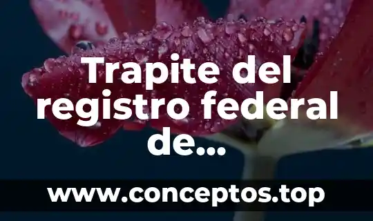 Trapite del registro federal de contribuyentes que es