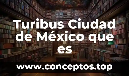Turibus Ciudad de México que es