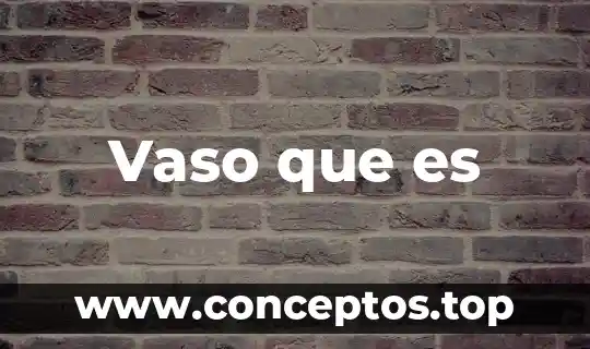 Vaso que es