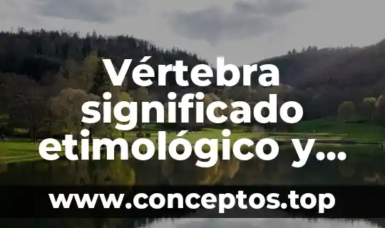 El significado etimológico de la palabra metalingüística 4 Vértebra significado etimológico y que es