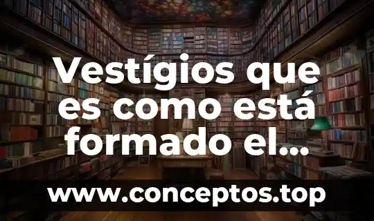 Qué está formado el sistema digestivo 5 Vestígios que es como está formado el sistema solar