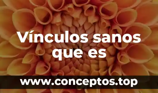 Vínculos sanos que es