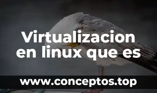 Que es sistema gnu linux 4 Virtualizacion en linux que es