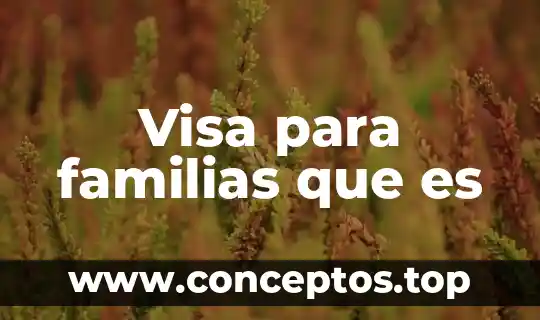 Visa para familias que es