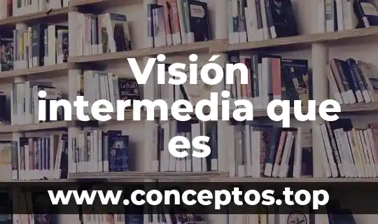Qué es visión subjetiva en educación 7 Visión intermedia que es
