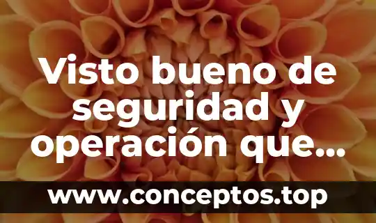 Visto bueno de seguridad y operación que es