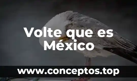 Volte que es México